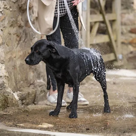 Pasture House 펜션 *